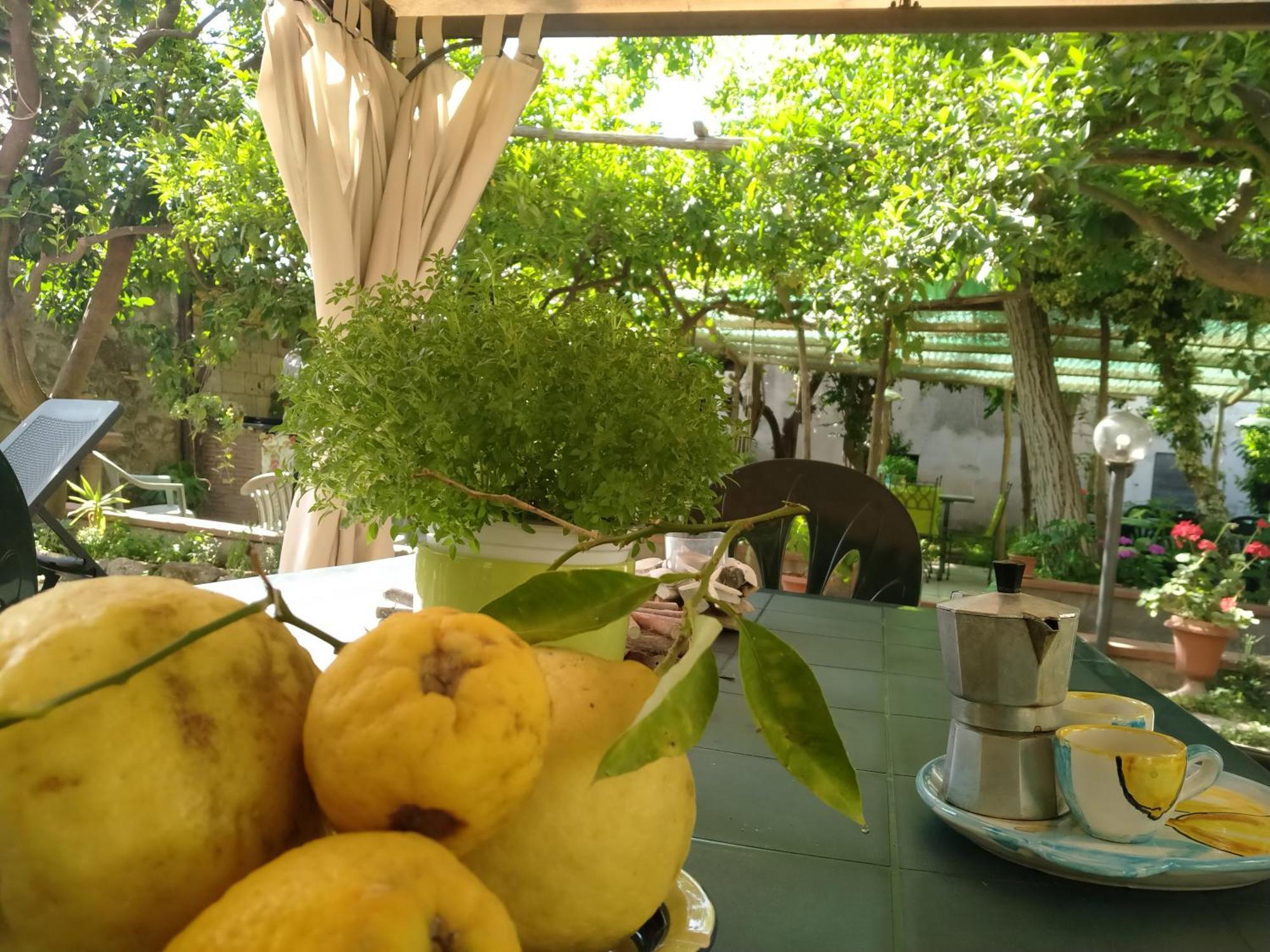 메타 Villino L'Aranceto Sorrentino B&B 외부 사진
