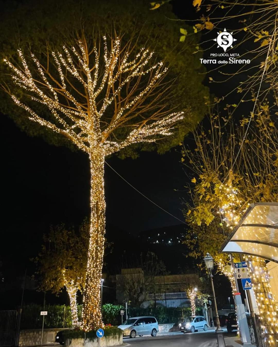 메타 Villino L'Aranceto Sorrentino B&B 외부 사진