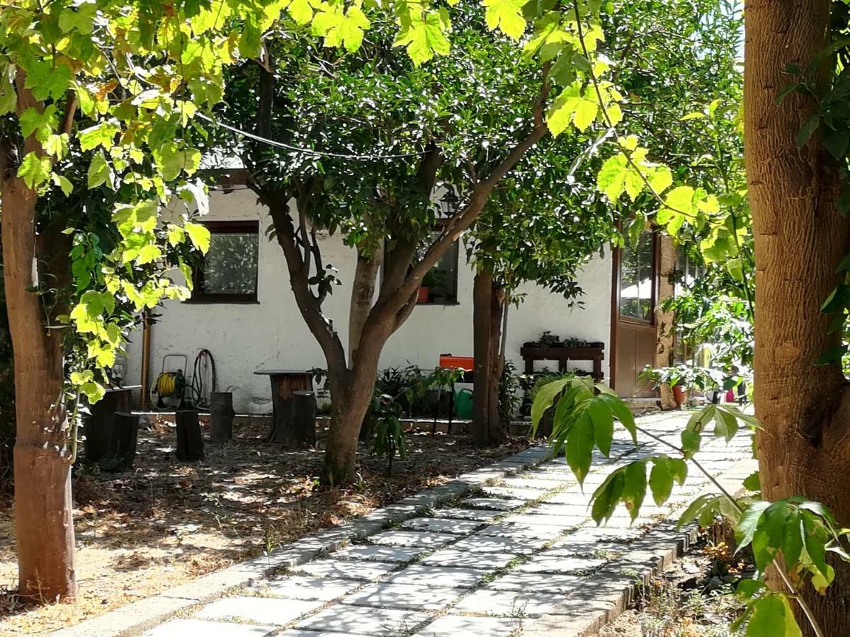 메타 Villino L'Aranceto Sorrentino B&B 외부 사진
