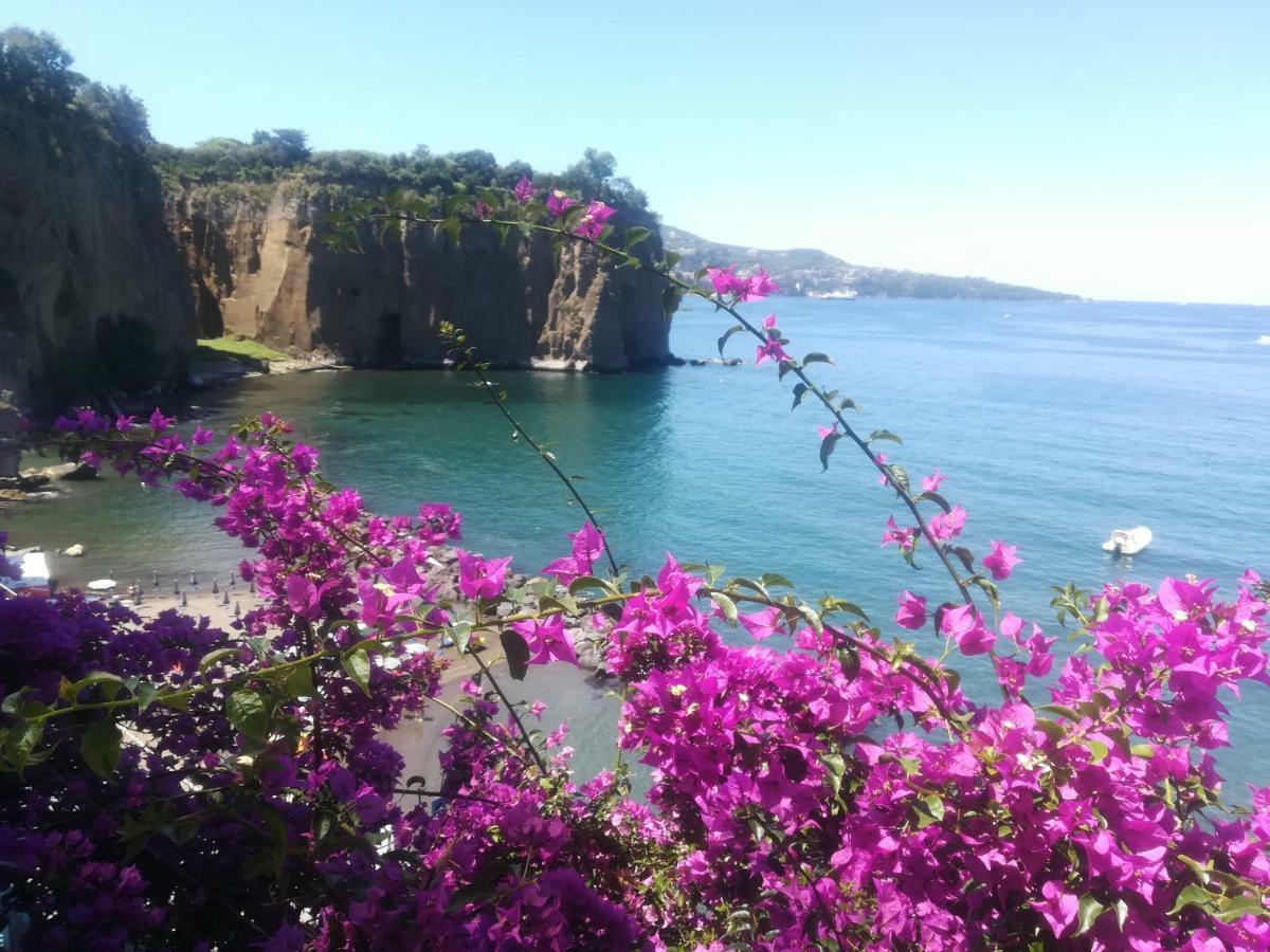 메타 Villino L'Aranceto Sorrentino B&B 외부 사진